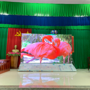 Màn Hình LED P2.5 Indoor 200 Inch